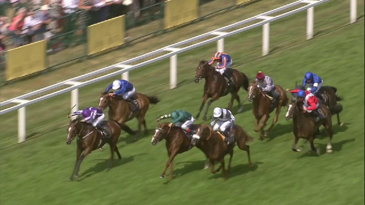 2017 Prince of Wales's Stakes - Highland Reel - Racing TV
