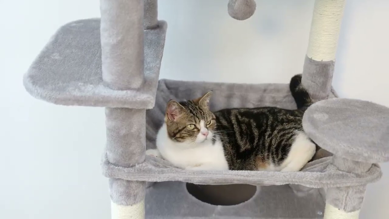 Large Cat Tree and Tower for Indoor Cats With Sisal-Covered Scratching