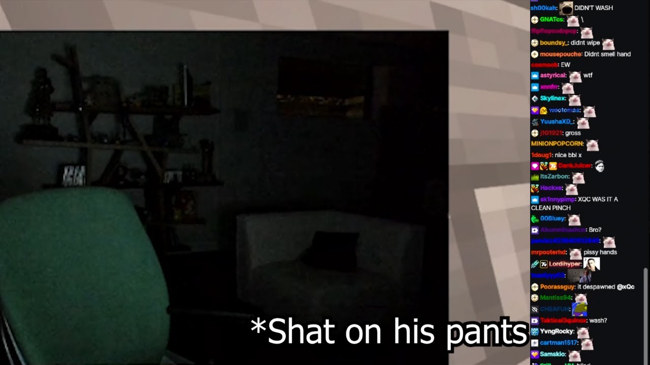 xQc chat acts common after already know he lied to go to poop after saying about to go to pee