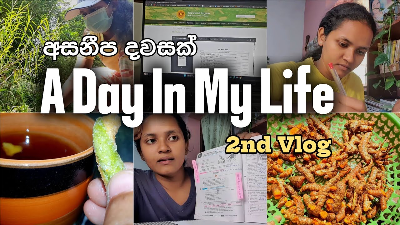 අසනීප දවසක් ❤🧿🧚🐰🌷🍃 A Day In My Life 🫂🌻 2 nd Day Vlog 😊💕 #dayvlog #relaxing #goals #motivation #life 
