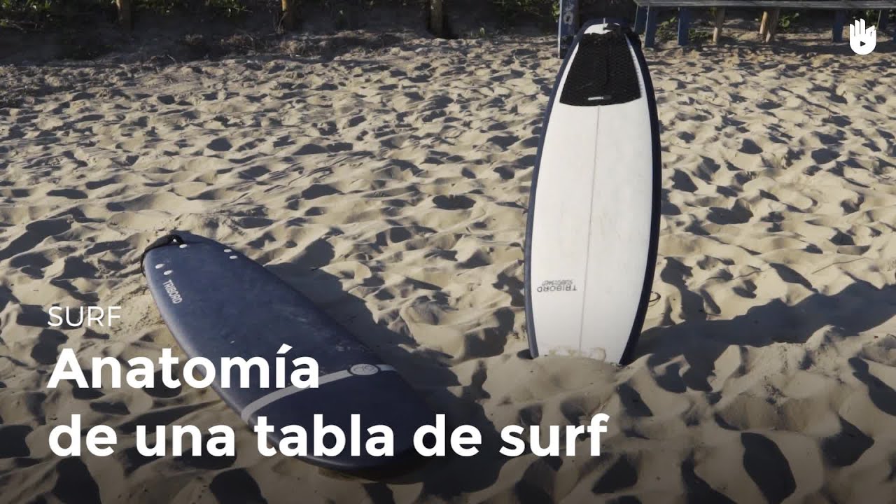 Anatomía de la tabla | Surf