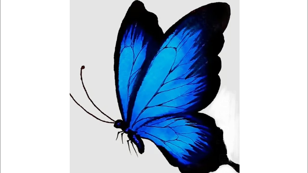 How to draw a butterfly with brush pen ll brush pen drawing -- of butterfly for beginners.