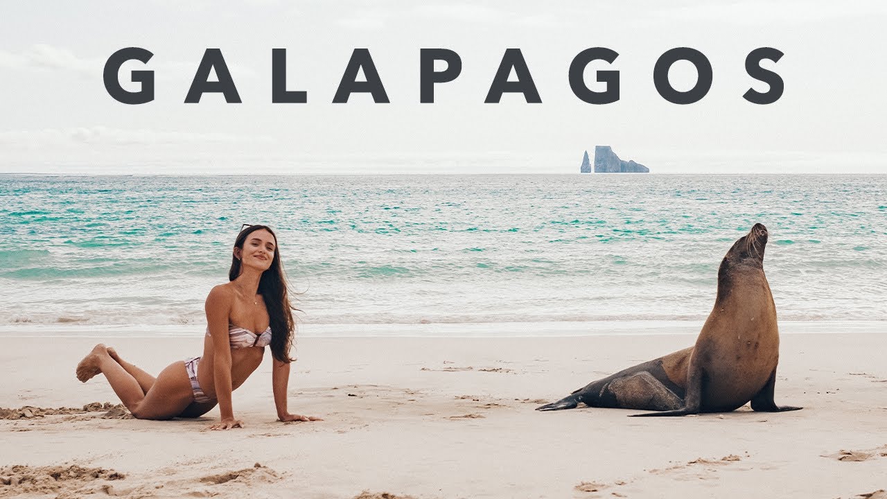 What it’s like on a luxury Galapagos yacht expedition | VLOG