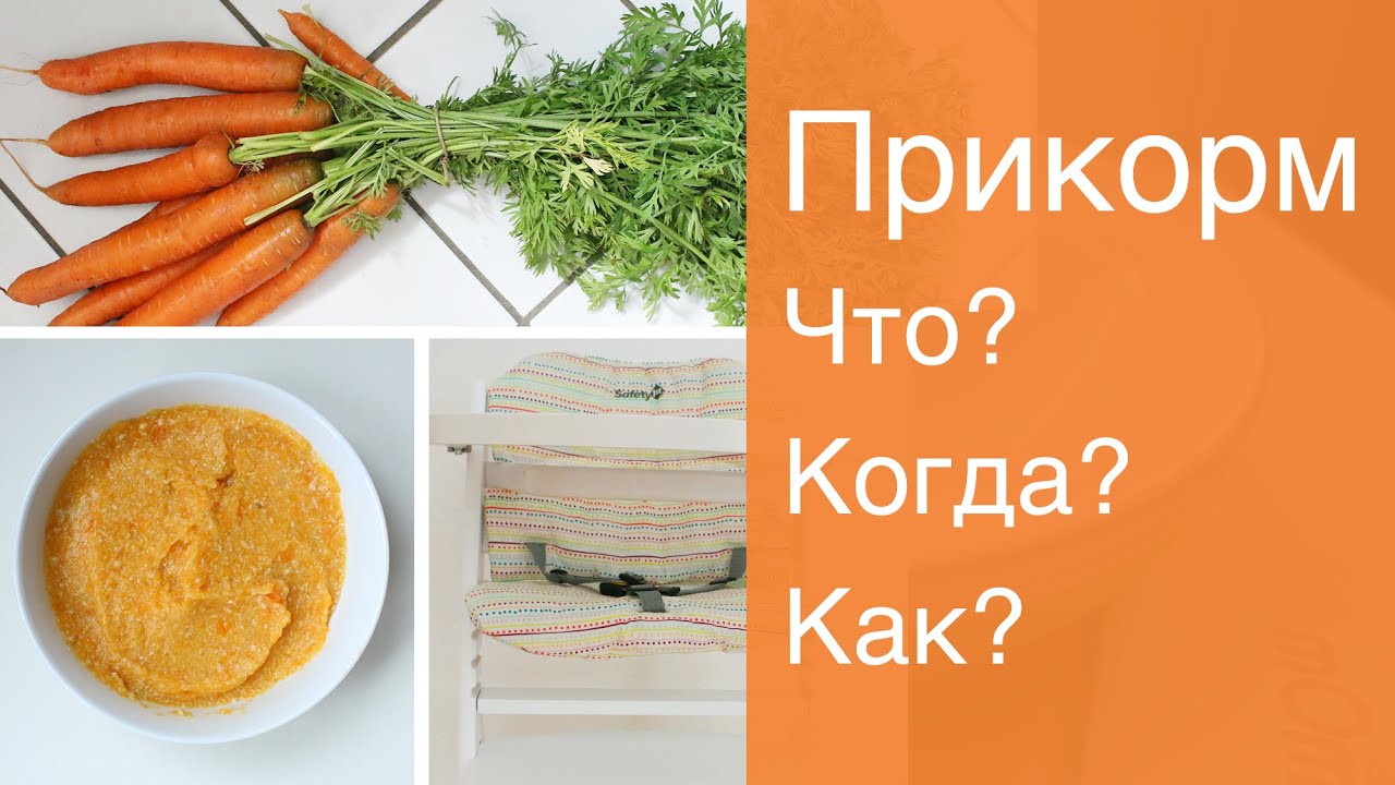 Прикорм ребёнка. Что? Когда? Как? (часть 1)
