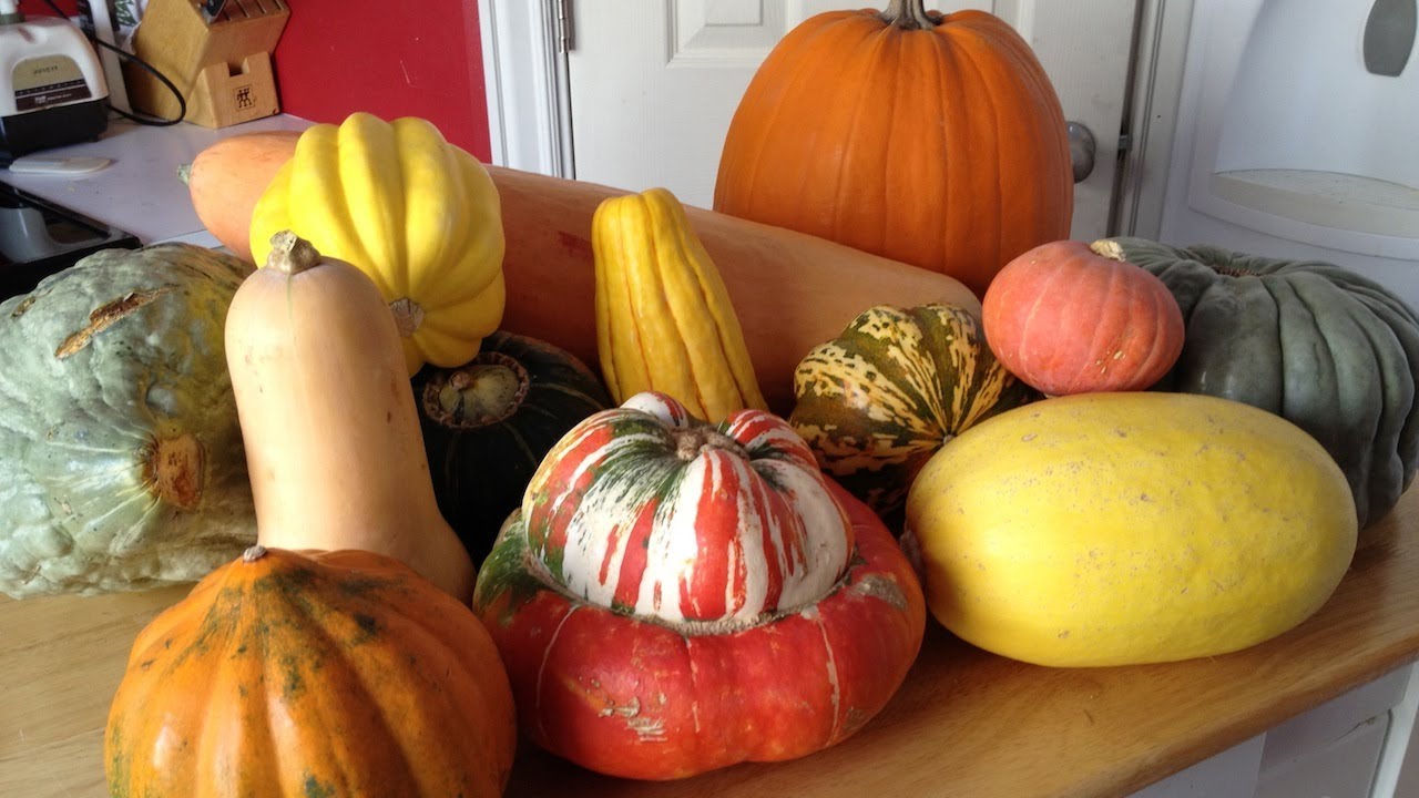 WINTER SQUASH!!!