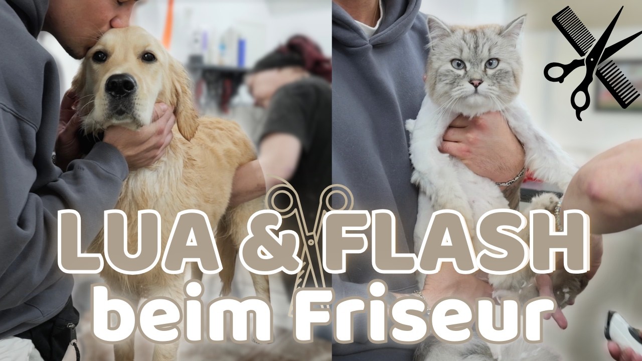 ERSTER FRISEURBESUCH für LUA & FLASH🤩💈