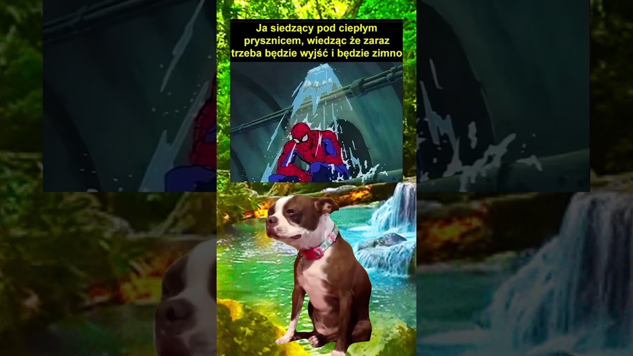 Każdy zna go uczucie... 😭