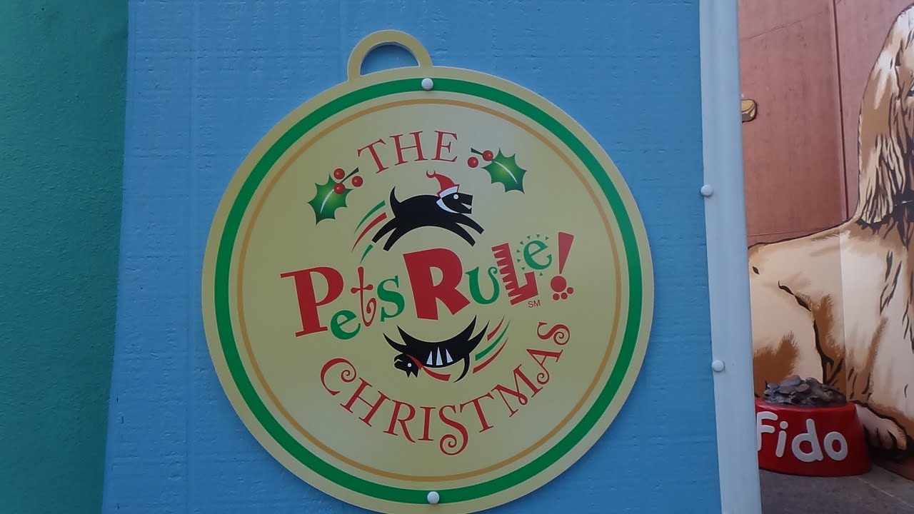 THE PETS RULE CHRISTMAS SPECIAL SEAWORLD 2013