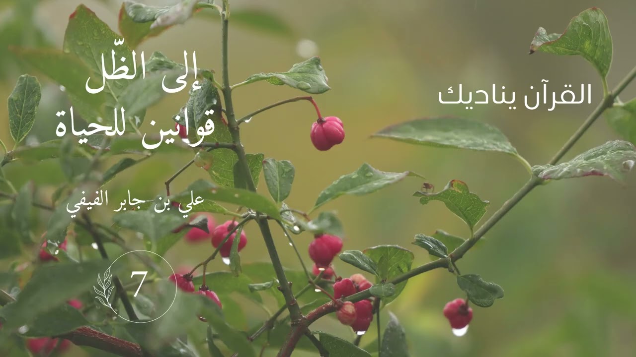 إلى الظل  قوانين للحياة /أيما الأجلين/ 7