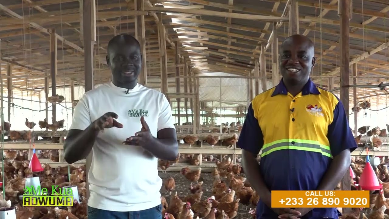MEET THE CEO OF HARIMAT FARMS MR. MATTHEW MANU BONSU