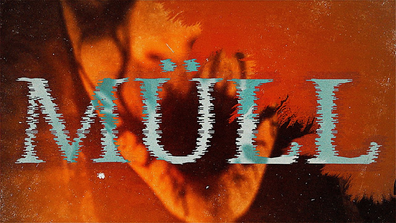Krankheit - M&uuml;ll (Official Lyric Video)