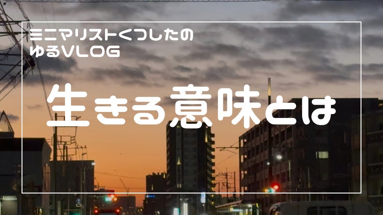 【30歳一人暮らし】人は何のために生きるのか / VLOG