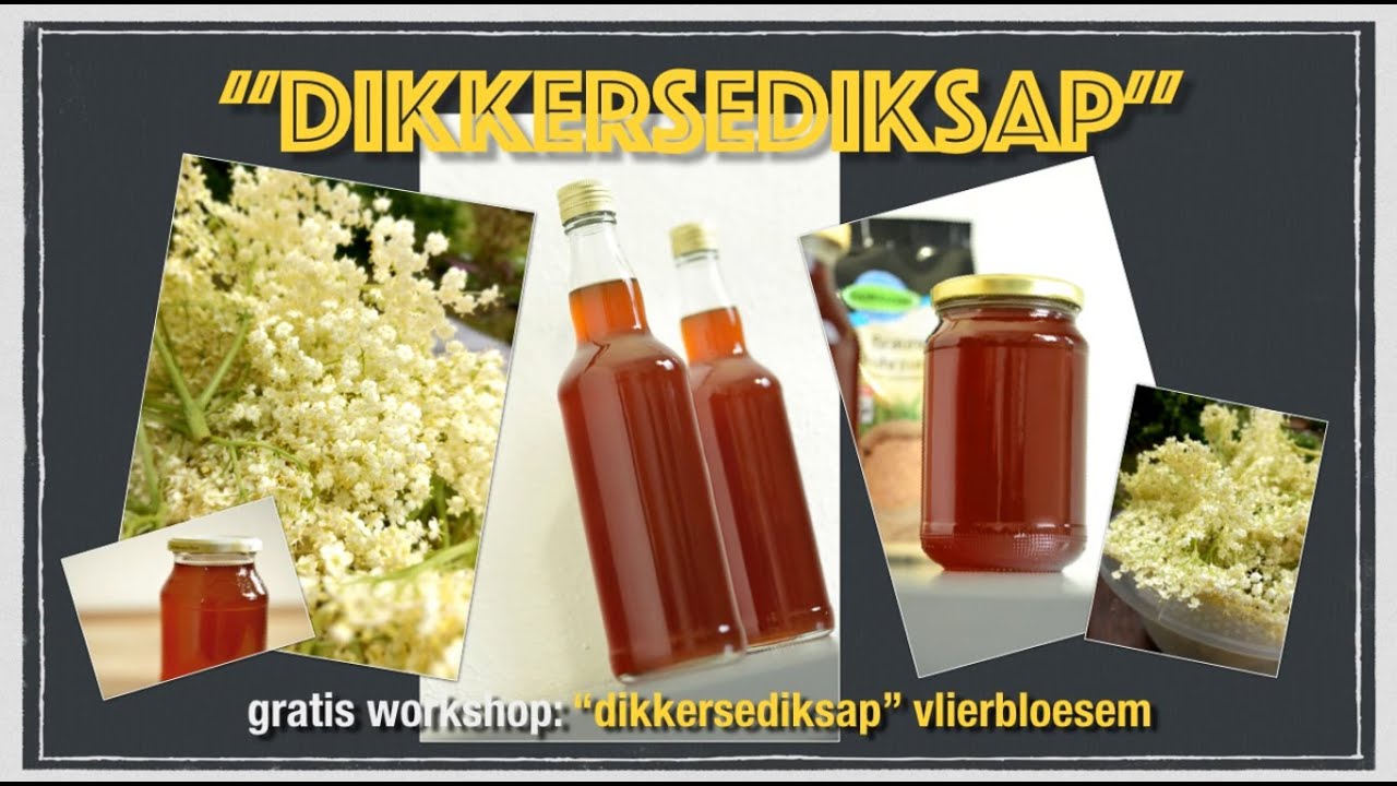 GRATIS WORKSHOP 