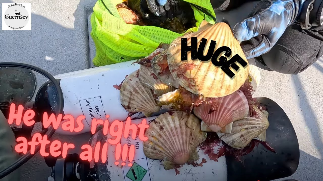 Locating the Monster Scallops after a tip off from a drunk man in a pub.