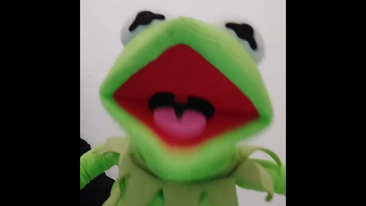 Kermit sings Counting Stars by OneRepublic