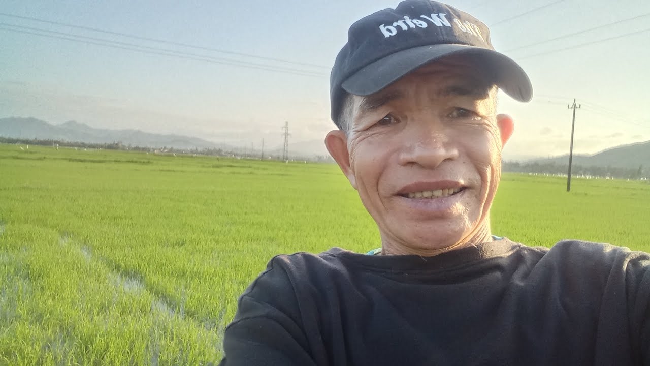 @cập nhật lúa sạ Trà 2*phường Bồng Sơn 🤝👍
