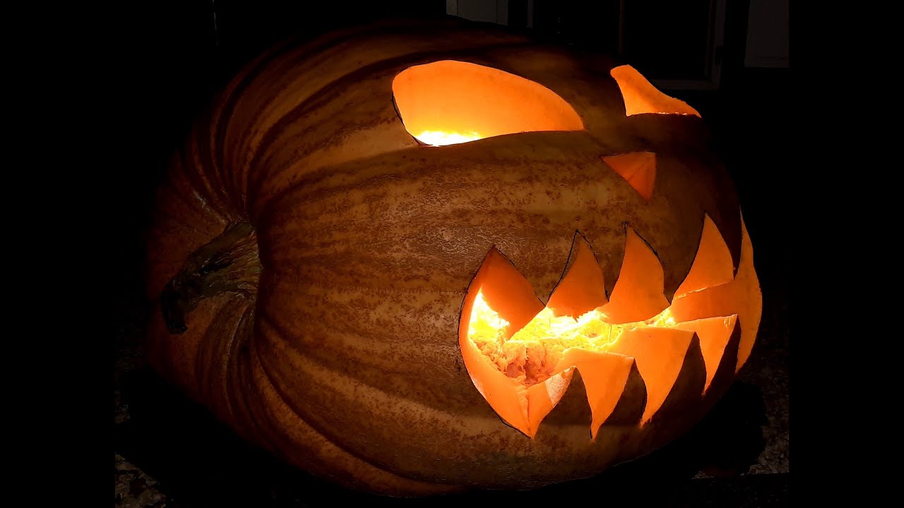 How to carve a 600 kg Giant Pumpkin and take a look inside!