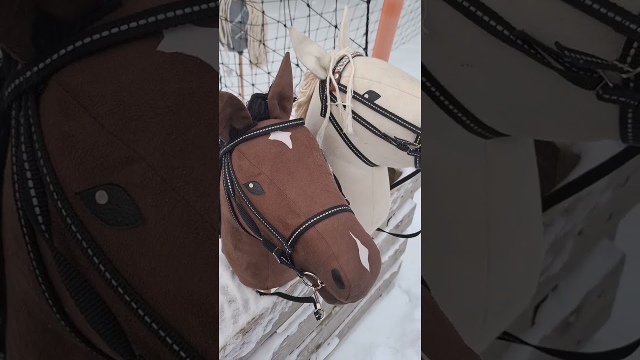 Talvisarjan toinen osa Tapaaminen metsässä 🐴❄️