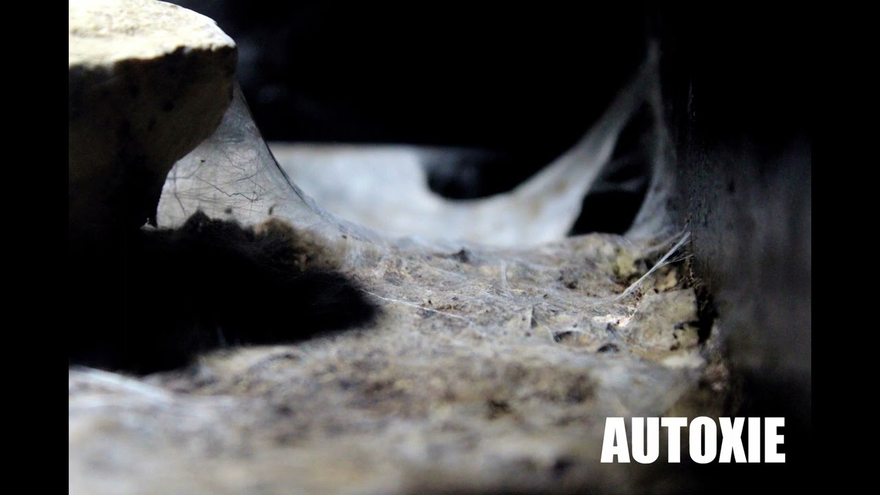 Autoxie - Spiders on the run