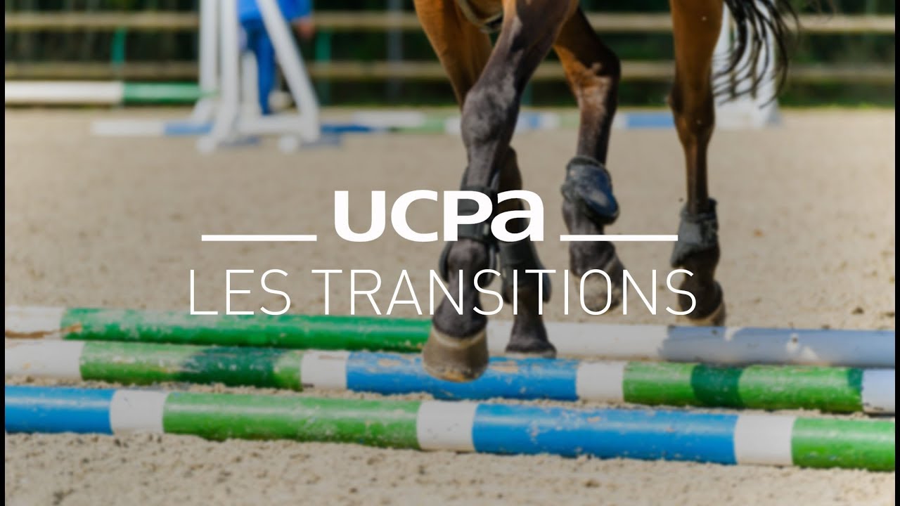 Tutos équitation #8 - La transition Trot - Arrêt - Trot