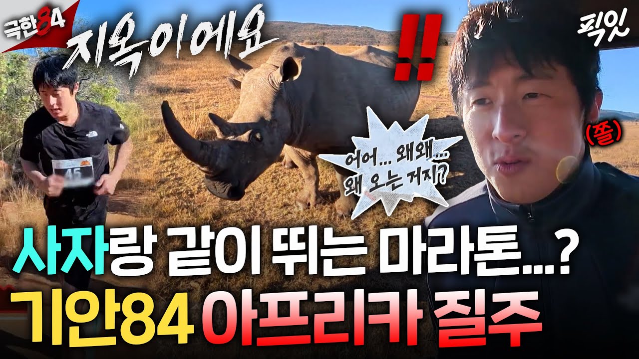 [극한84] 결국 갈 데까지(?) 간 기안..ㅋㅋㅋ 코뿔소와 자만추 가능한 아프리카 마라톤 첫 도전기ㅣ#기안84 MBC251130방송