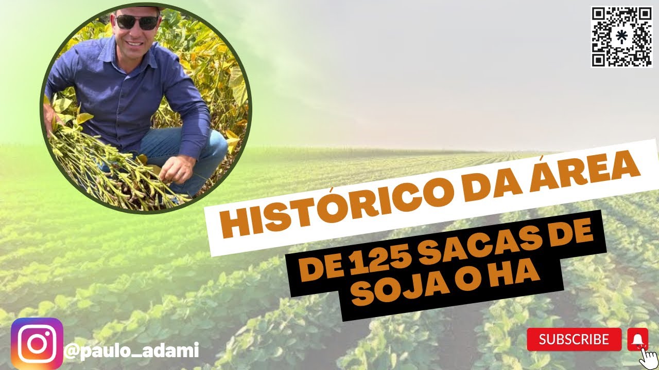 Manejo área de 125 sacas soja por hectare