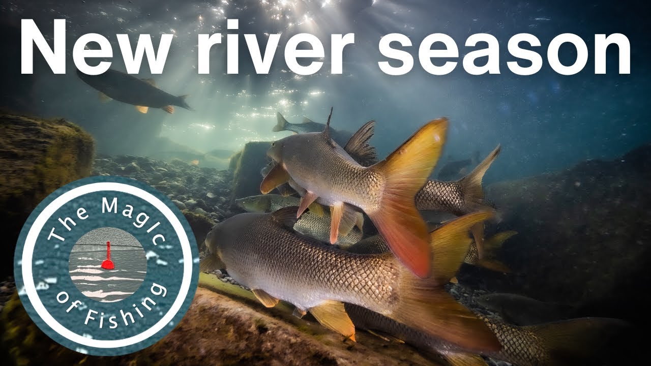 FISHING FEVER! Magic opening day for a new river season 🎣