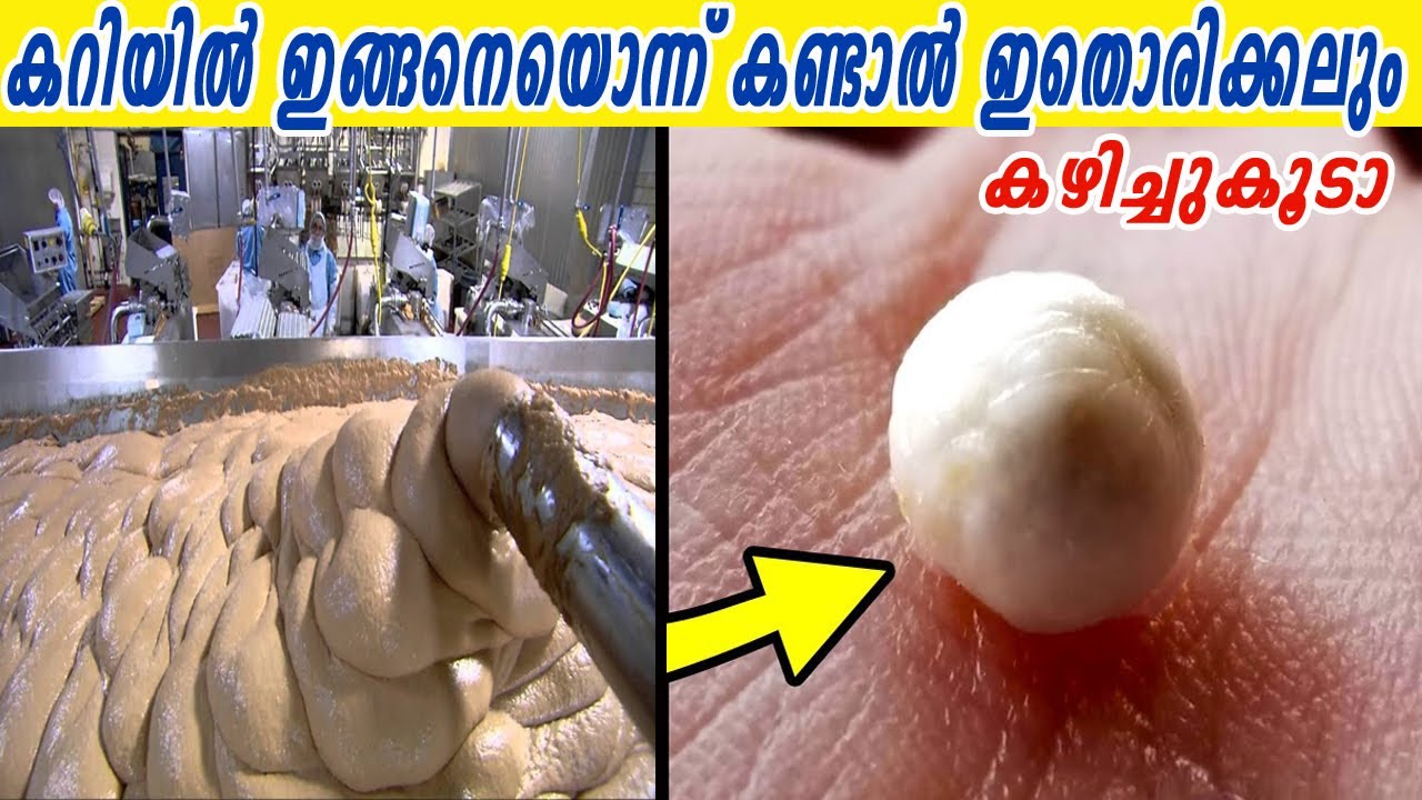 കറിയിൽ അതിവേഗത്തിൽ ഓടുന്ന ഈ ജീവിയെ കണ്ടിട്ടുണ്ടോ?ഈ വീഡിയോ കണ്ടതിനു ശേഷം ഇവ വാങ്ങാൻ  ഒന്ന് മടിക്കും.