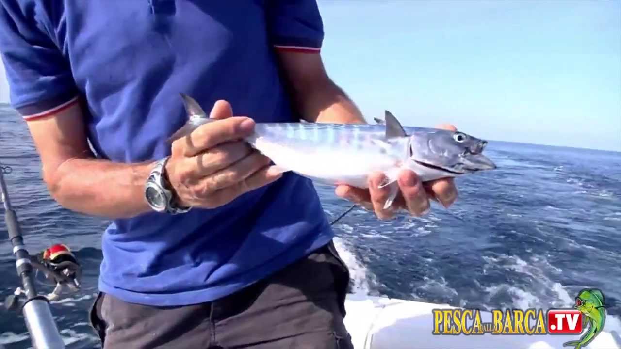 Tecnica di PESCA a TRAINA LEGGERA | Pesca dalla Barca TV