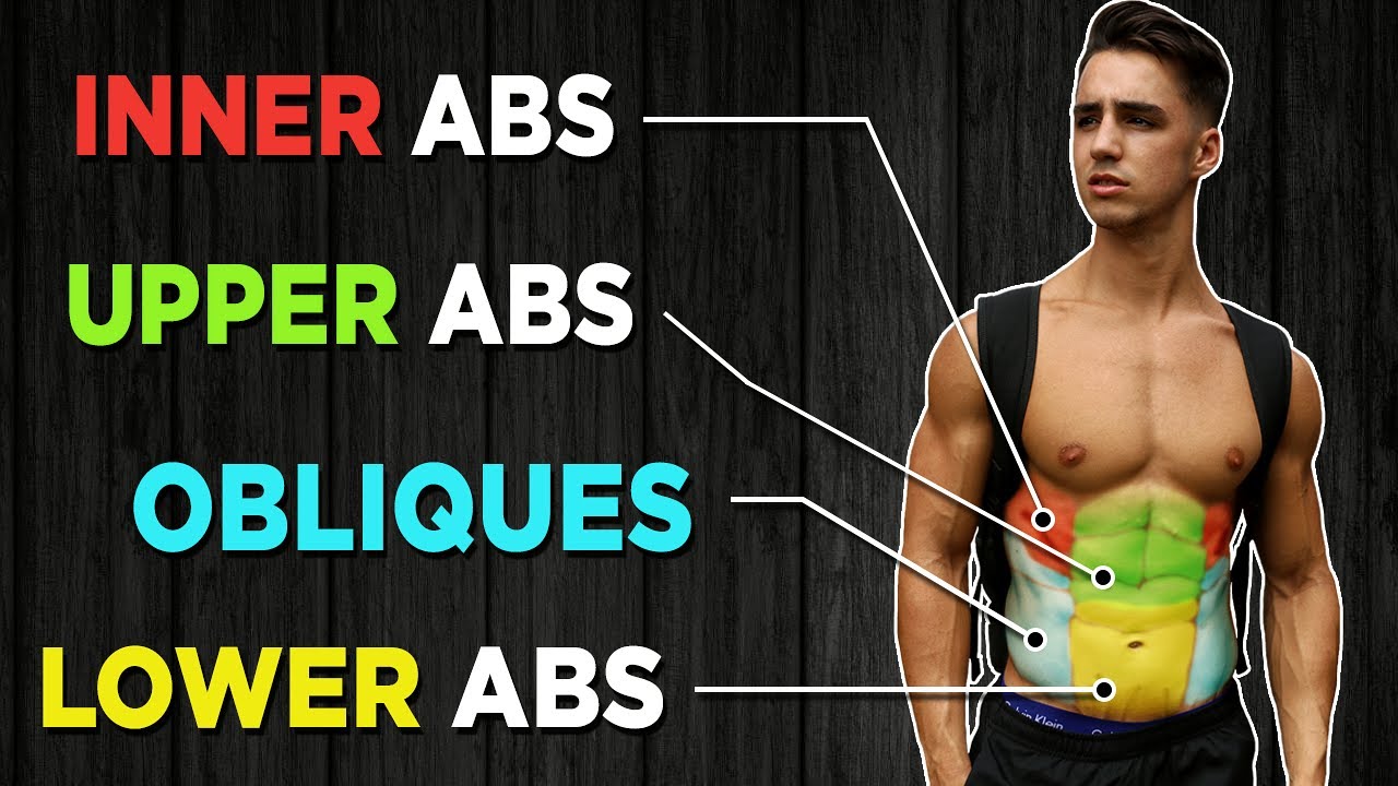 10 MIN WORKOUT FOR PERFECT ABS (NO EQUIPMENT BODYWEIGHT WORKOUT!)