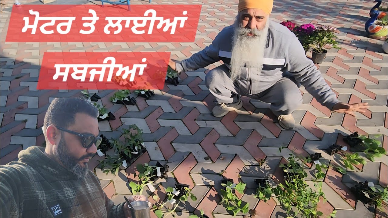 15 Tra Diya Liya Sabjiya:Organic Kheti motar ty👍#moter #khetibadi #organic #nichers #vlog #viral📈