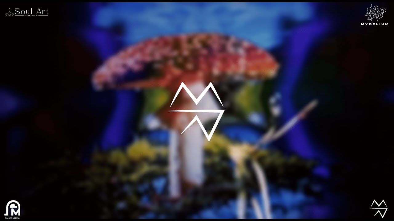 Afirmaciones con m&uacute;sica electr&oacute;nica para reprogramar tu mente subconsciente 🧠