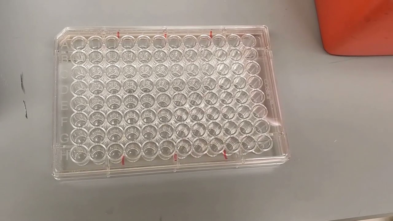 Measuring protein concentration and sample denaturation