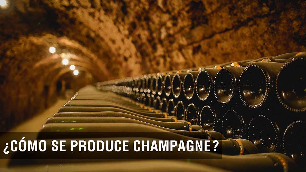 Cómo se produce la Champagne - TvAgro por Juan Gonzalo Angel Restrepo