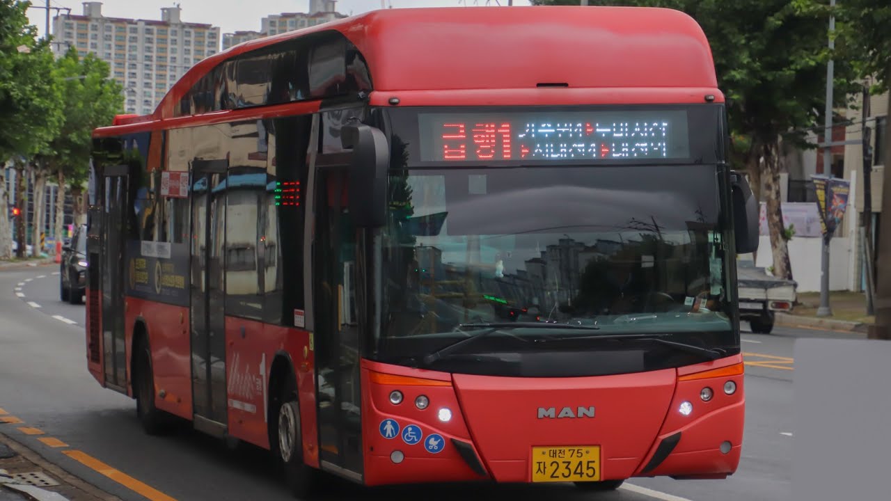 대전 급행1 신안동~원내공영차고지 전구간