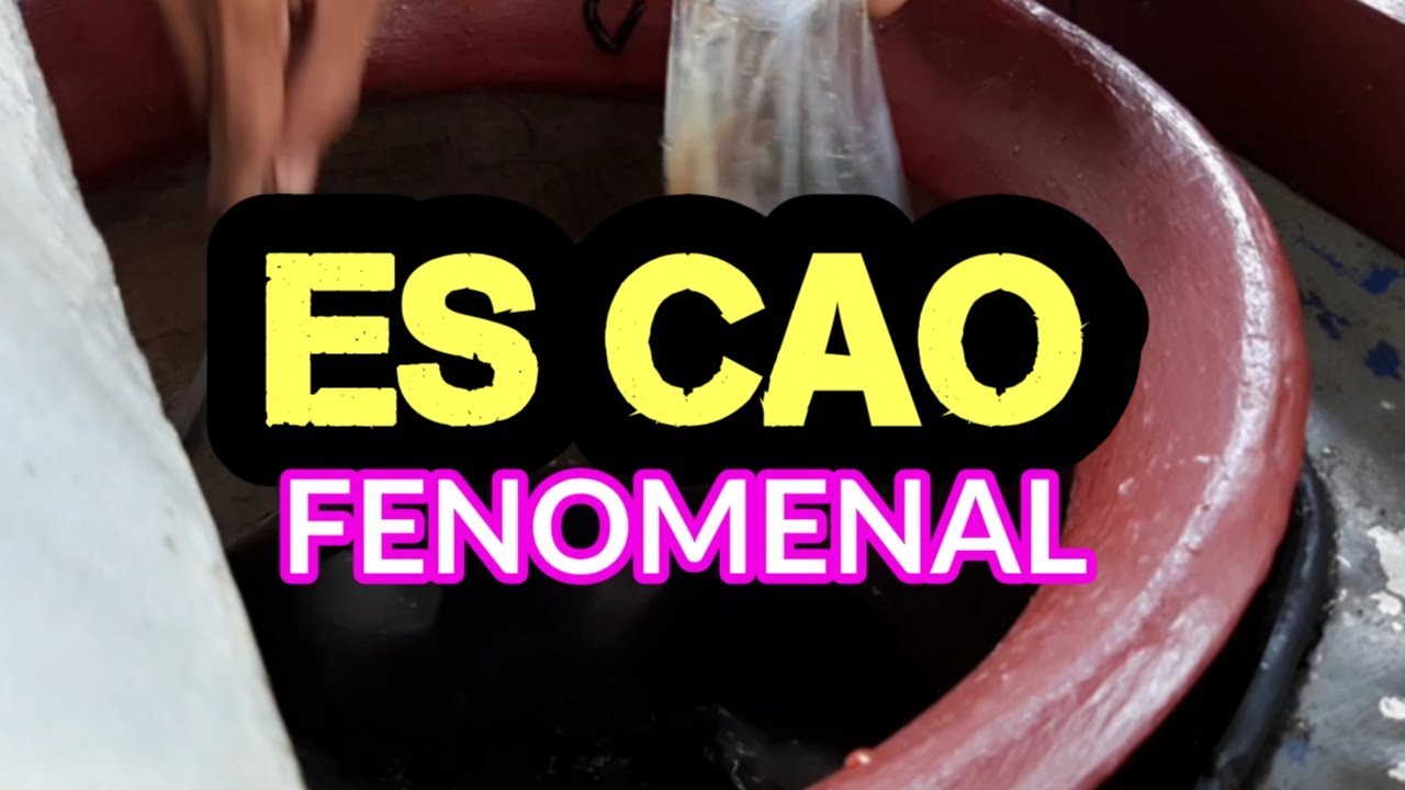 ES CAO SURABAYA | ES CAO GULA MERAH