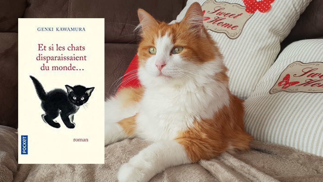 J'AI LU - Et si les chats disparaissaient du monde ...