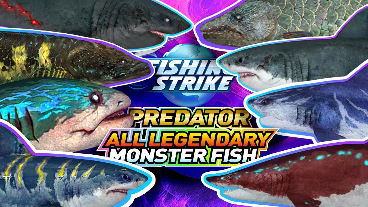PREDATOR LEGENDARY MEGA FISHES CATCH GAMEPLAY IN FISHING STRIKE 釣魚大亨 传说中的怪物鱼 피싱스트라이크