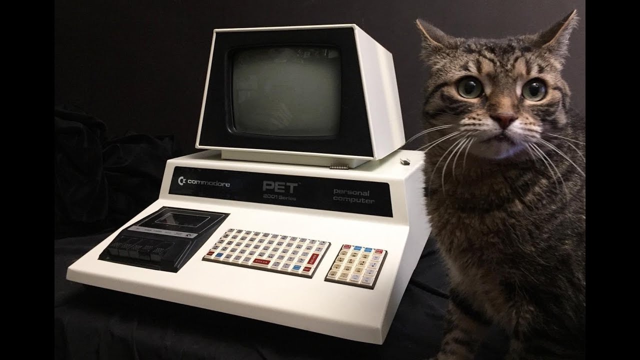 Commodore PET 2001 4032 8-Bit Computer Moved To Pool Table Tested 32k Green Screen - Episode 3168