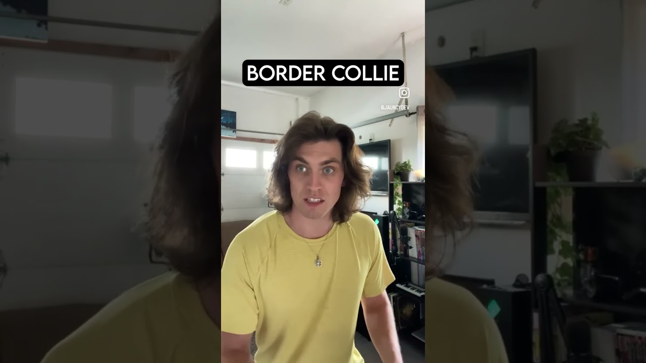 Как породы собак реагируют на грабителей, часть 6