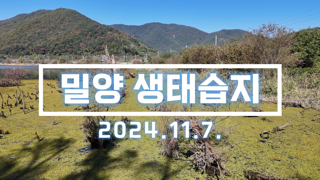 밀양 미전천생태공원 생태습지 드론 영상. 2024.11.7 촬영. DJI AIR 3