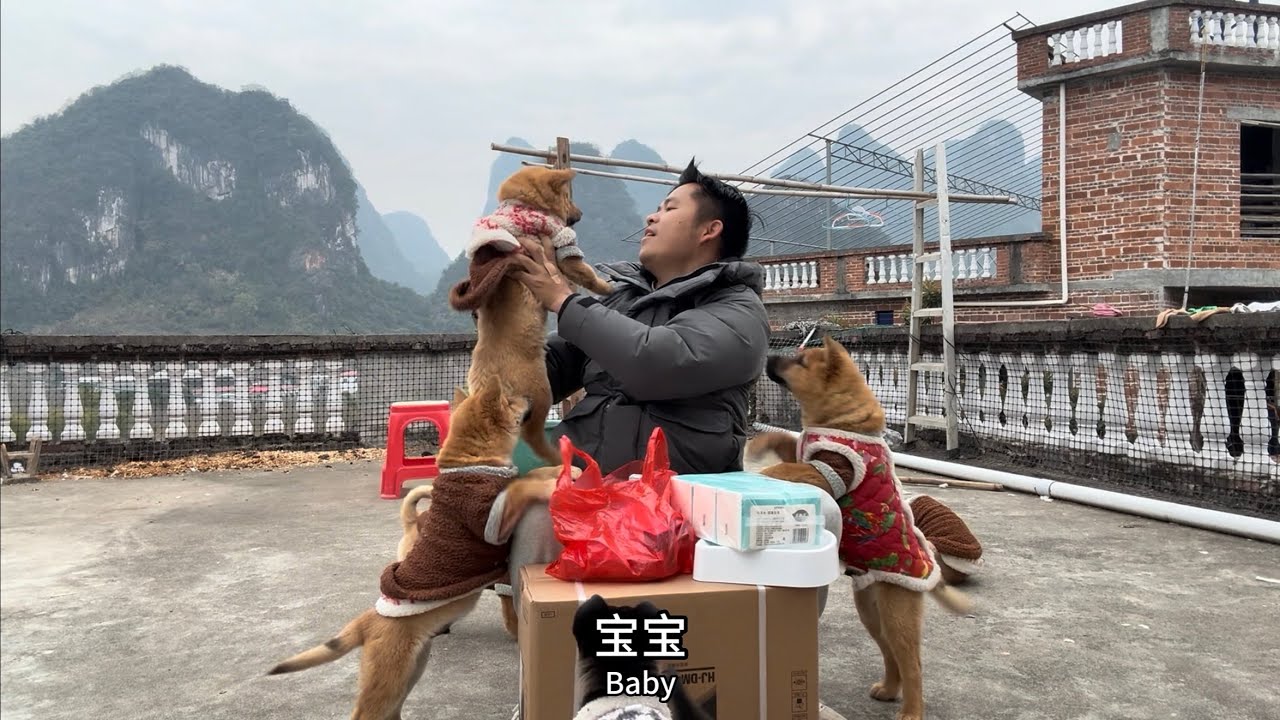 就在刚刚，臭宝最终还是离开了我们