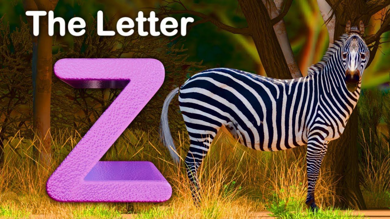 The Letter Z