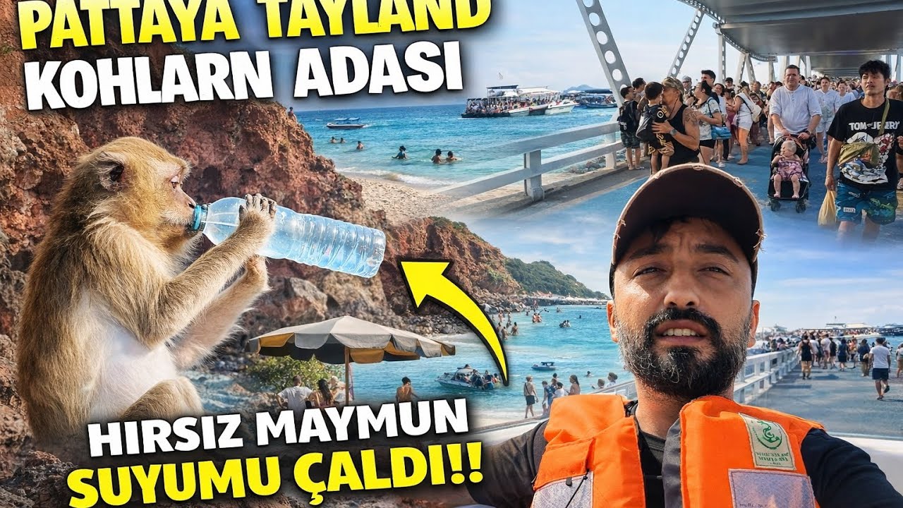 KOHLARN ADASINDA BİR GÜN, Nasıl Gidilir, Güncel Fiyatlar Tayland Pattaya 🇹🇭