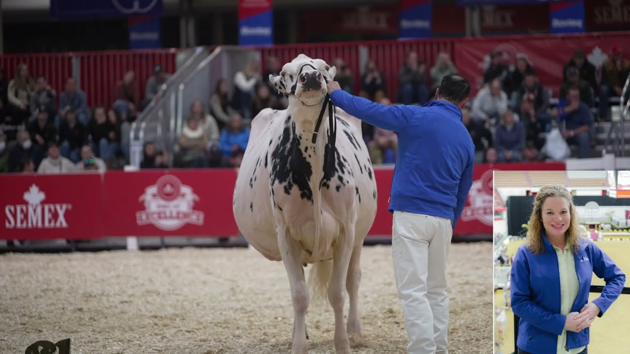 2nd time World Champion Holstein - Erbacres Snapple Shakira EX97.Judge Molly Sloan.2nd -Esprit.