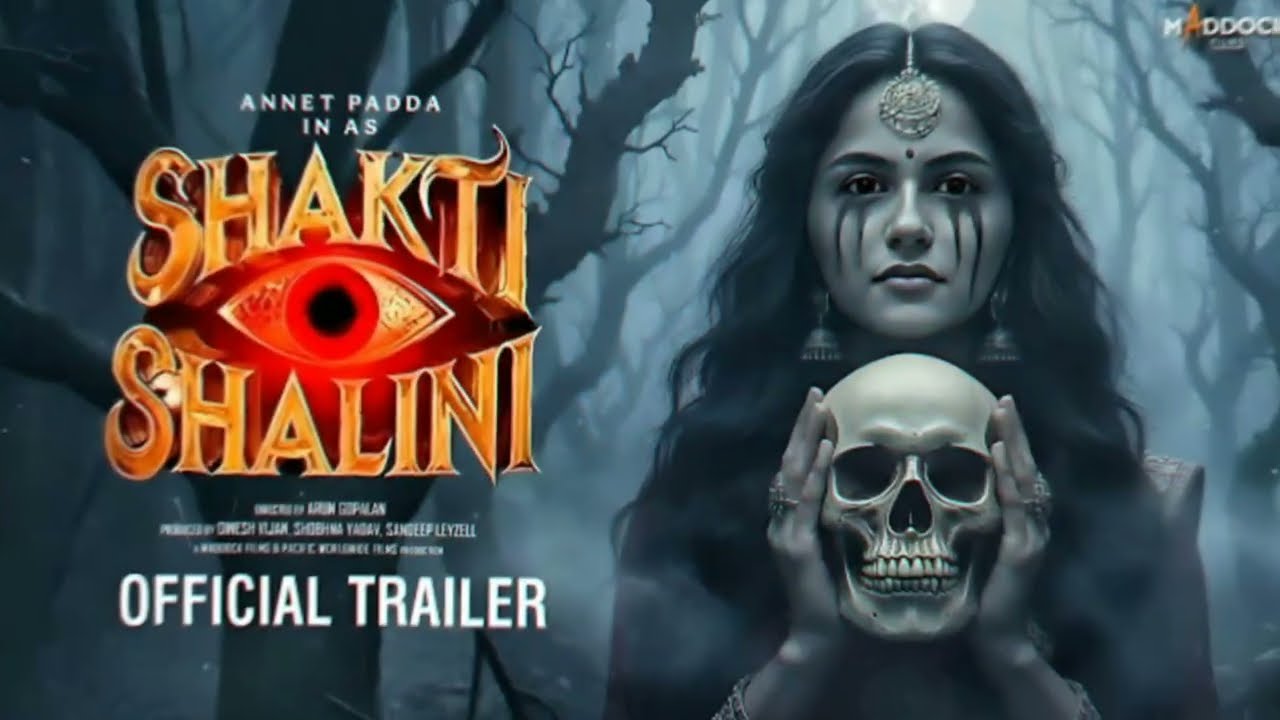 Maddock horror comedy universe most 5 upcoming movies 26/27 | Update | #horrormovies  #bollywood 