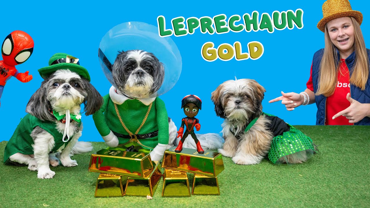 Spidey Helps Assistant Find the Leprechaun Treasure of Wiggles, Waggles and Waffles