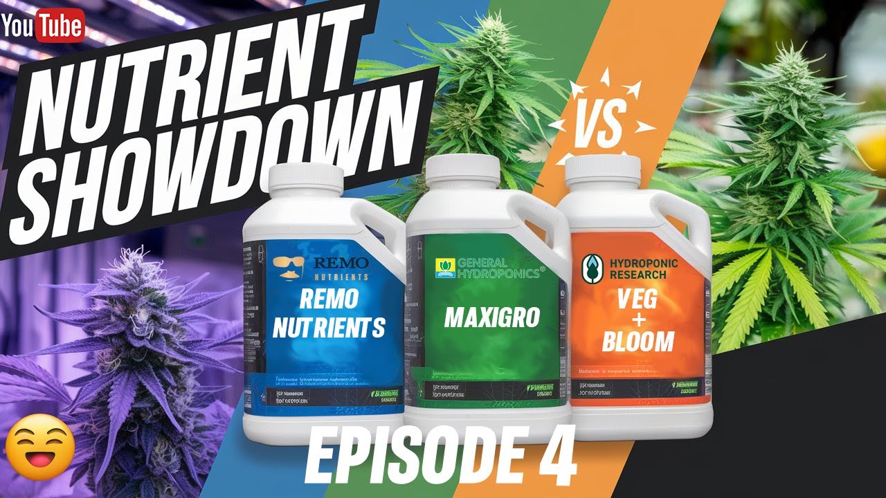 Nutrient Showdown | Ep. 4: VEG+BLOOM=PGRs?! + High Pressure Aero Woes 😱🌱 w/ Remo MaxiGro  VEG+BLOOM