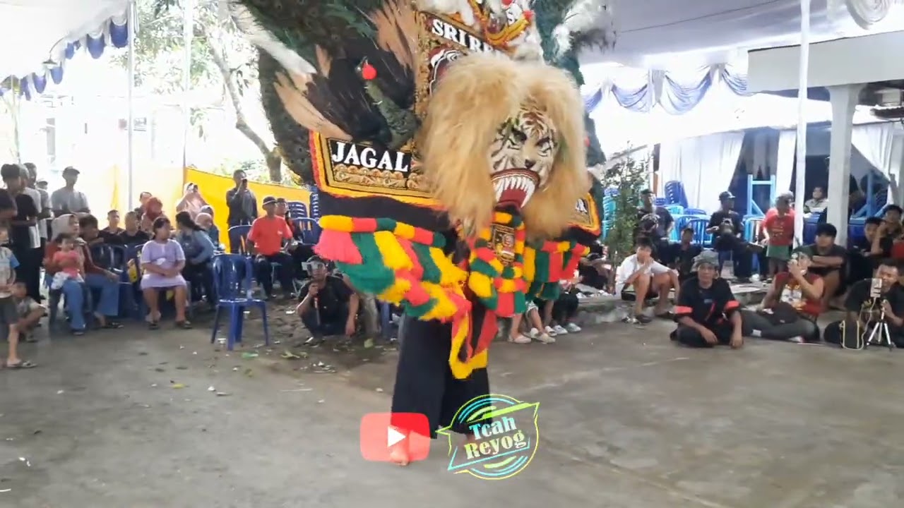 BARONGAN NGAMUK ‼️ BARONGAN REOG PONOROGO NGAMUK BIOIN MERINDING..