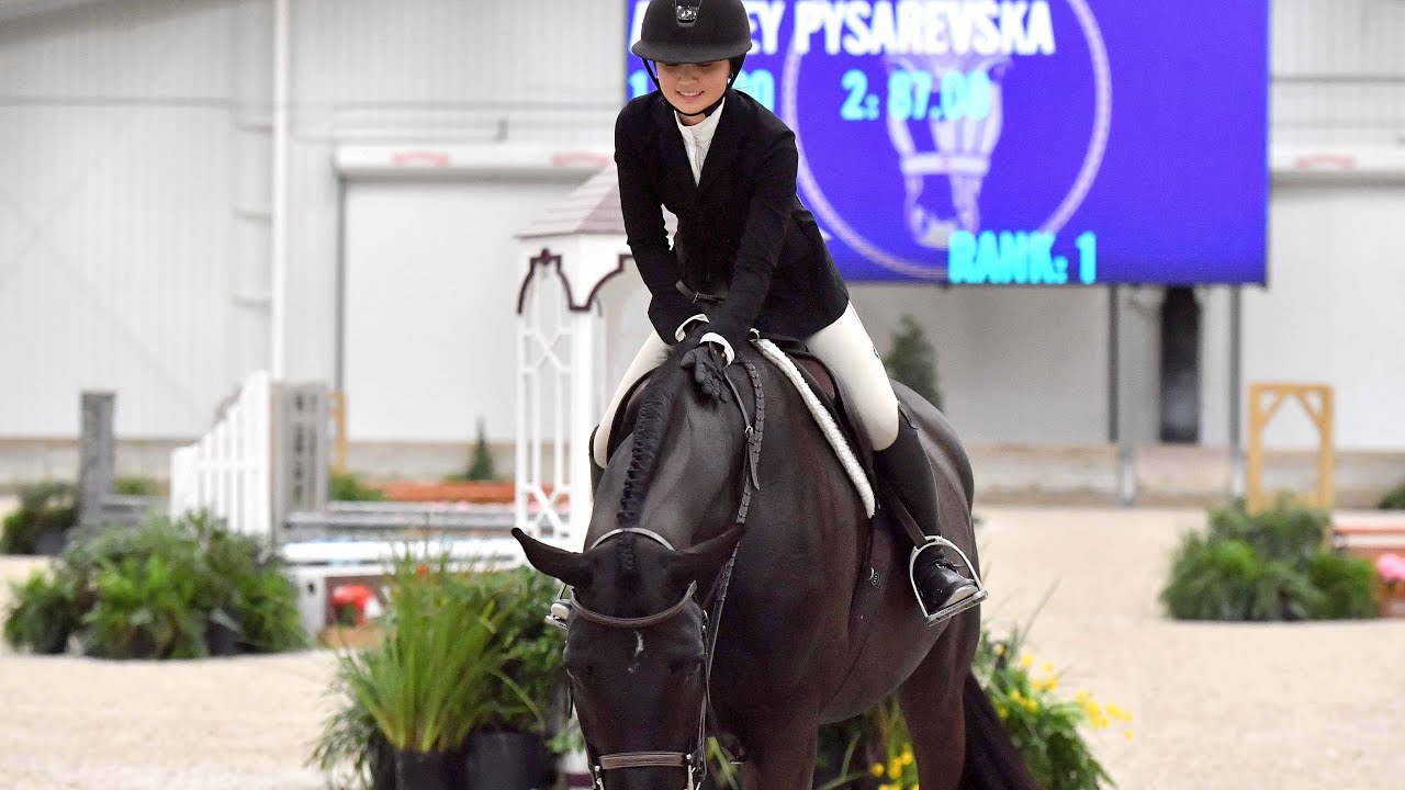 Wec ocala - 🥇 classic score 87 - Riding sunday rose 